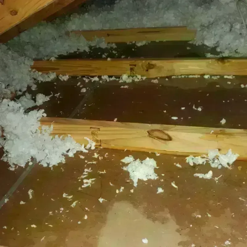 Attic Water Damage in Palos Heights, IL