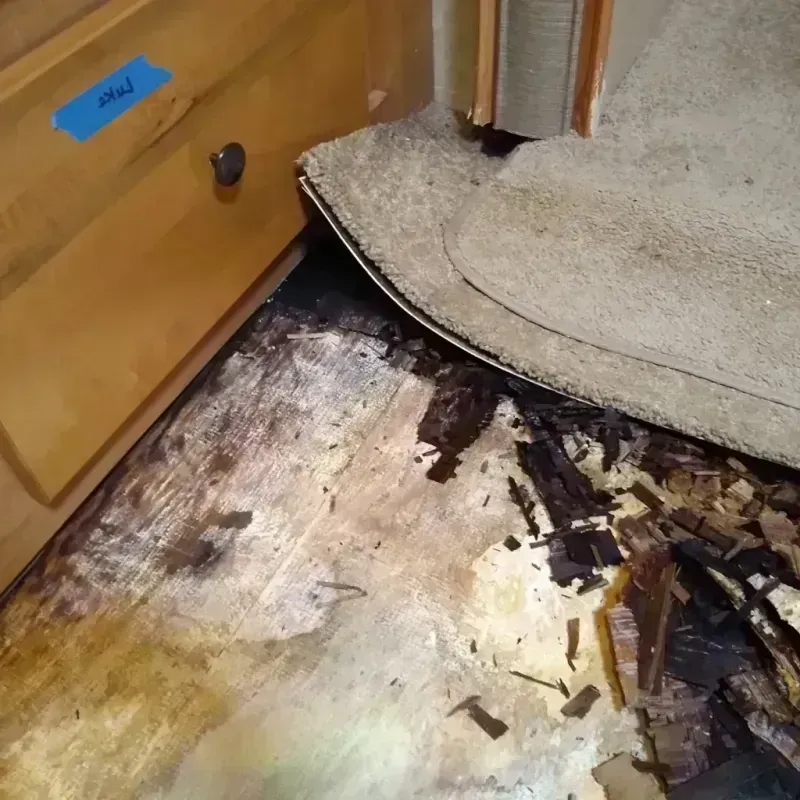 Wood Floor Water Damage in Palos Heights, IL